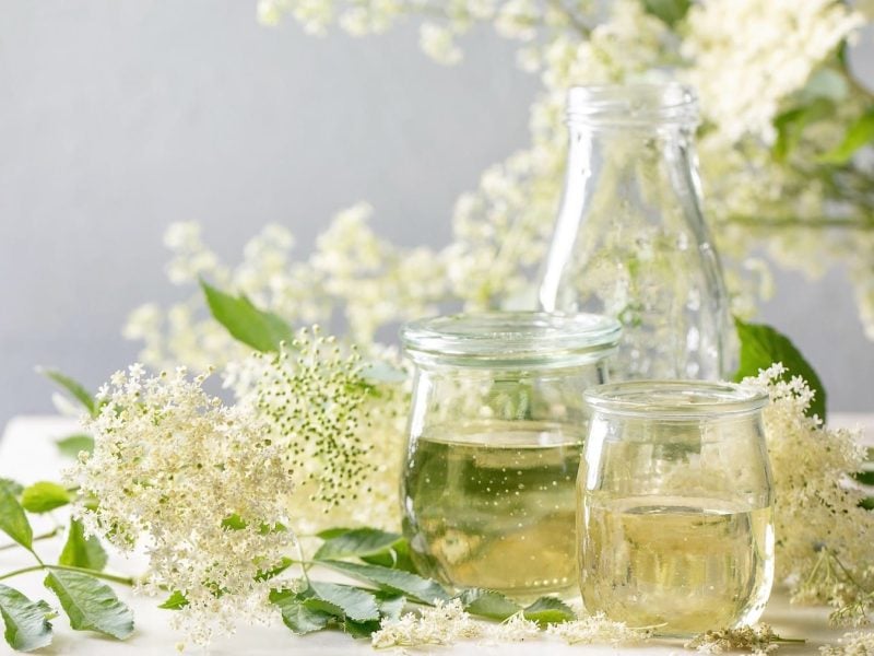 Holünder-Blüten-Sirup selber machen und in einer Karaffe und runden Gläsern auf einem mit Blüten verzierten Tisch servieren.