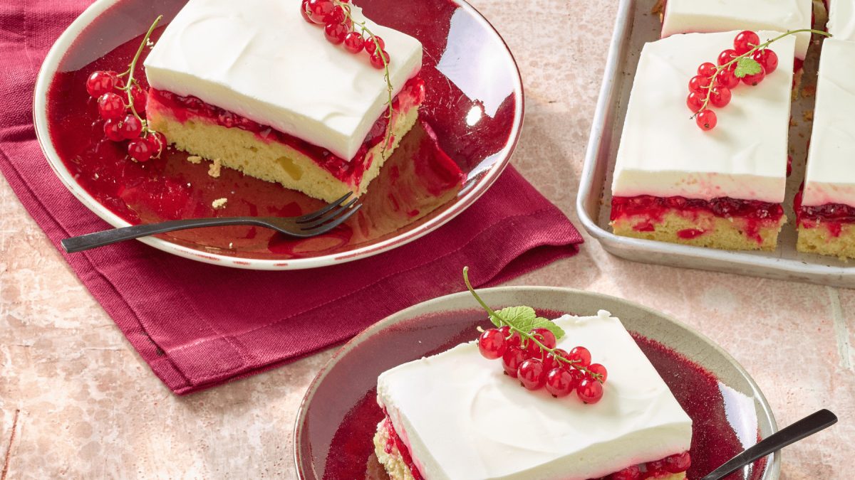 Johannisbeer-Biskuitkuchen mit Johannisbeeren