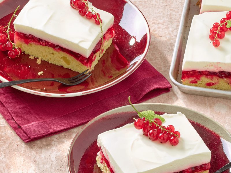 Johannisbeer-Biskuitkuchen mit Johannisbeeren