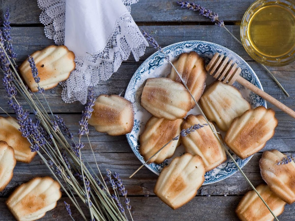 Fluffige Madeleines mit Honig auf dunklem Holzuntergrund, daneben Sträucher und Honig