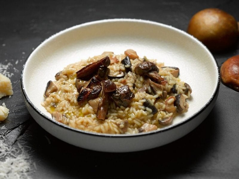 Eine Schale mit Pilzrisotto und Parmesan steht auf grauem Hintergrund. Um die Schale herum liegen Pilze mit Parmesan.