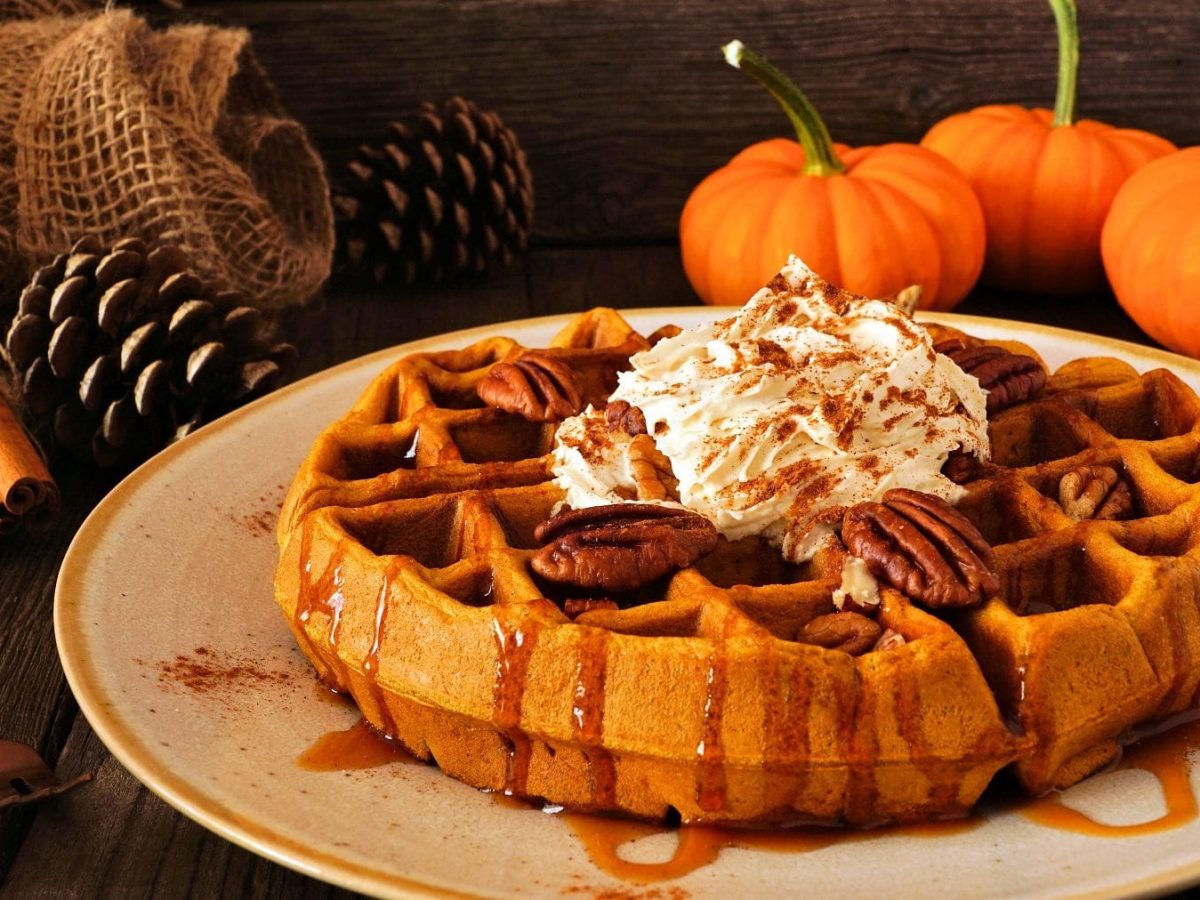 Eine Kürbis-Waffeln mit Pekanüsse, Sahne, Zimt und Ahornsirup liegt auf einem Teller auf einem dunklen Holztisch. Im Hintergrund liegen Kienäpfel, Kürbisse, Zimtstangen, Gabeln und Leinennetze.