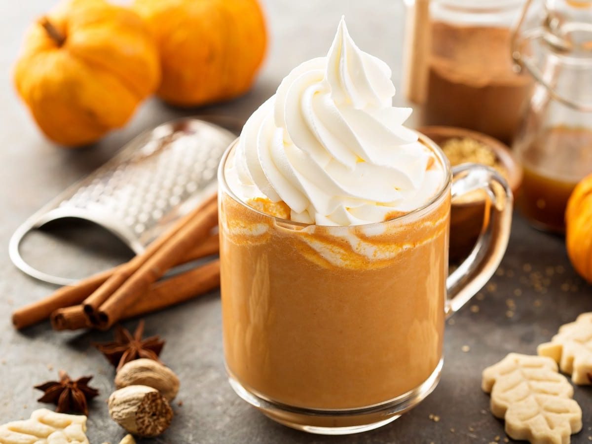 Eine Glastasse mit Pumpkin Spice Latte getoppt mit viel Schlagsahne neben Zimtstangen, Nelken, Muskatnuss, kleinen Kürbissen, Keksen und Gewürzen vor einem grauem Hintergrund.