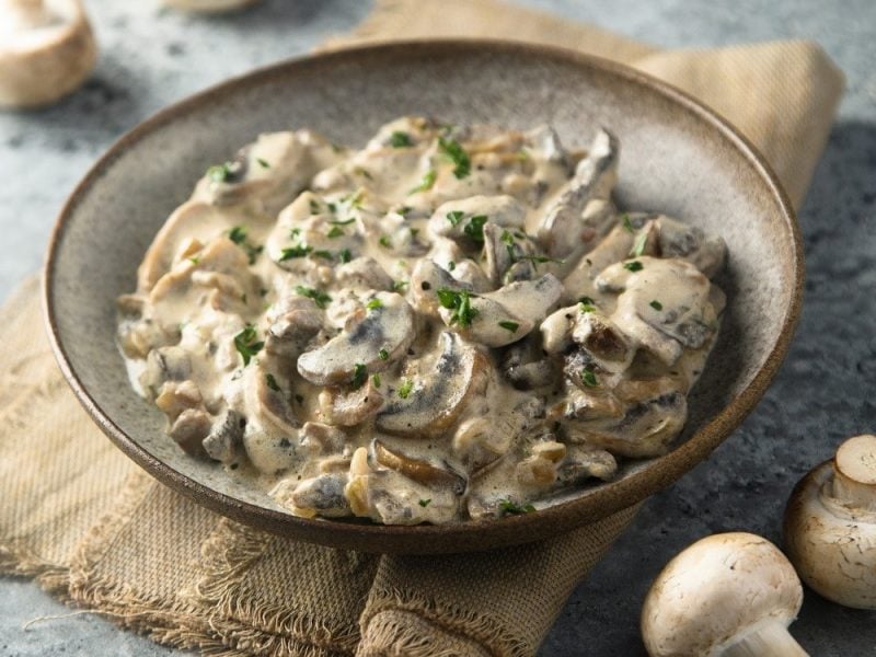 Pilz-Stroganoff: Pilzragout mit Senf, Weißwein und Creme Fraiche in veganer Variante in einer Tonschale, garniert mit frischer Petersilie