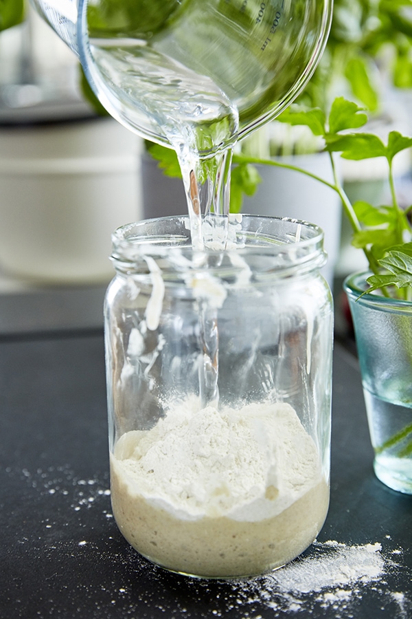 Ein Glas mit Sauerteig-Ansatz, in das Wasser gegossen wird.