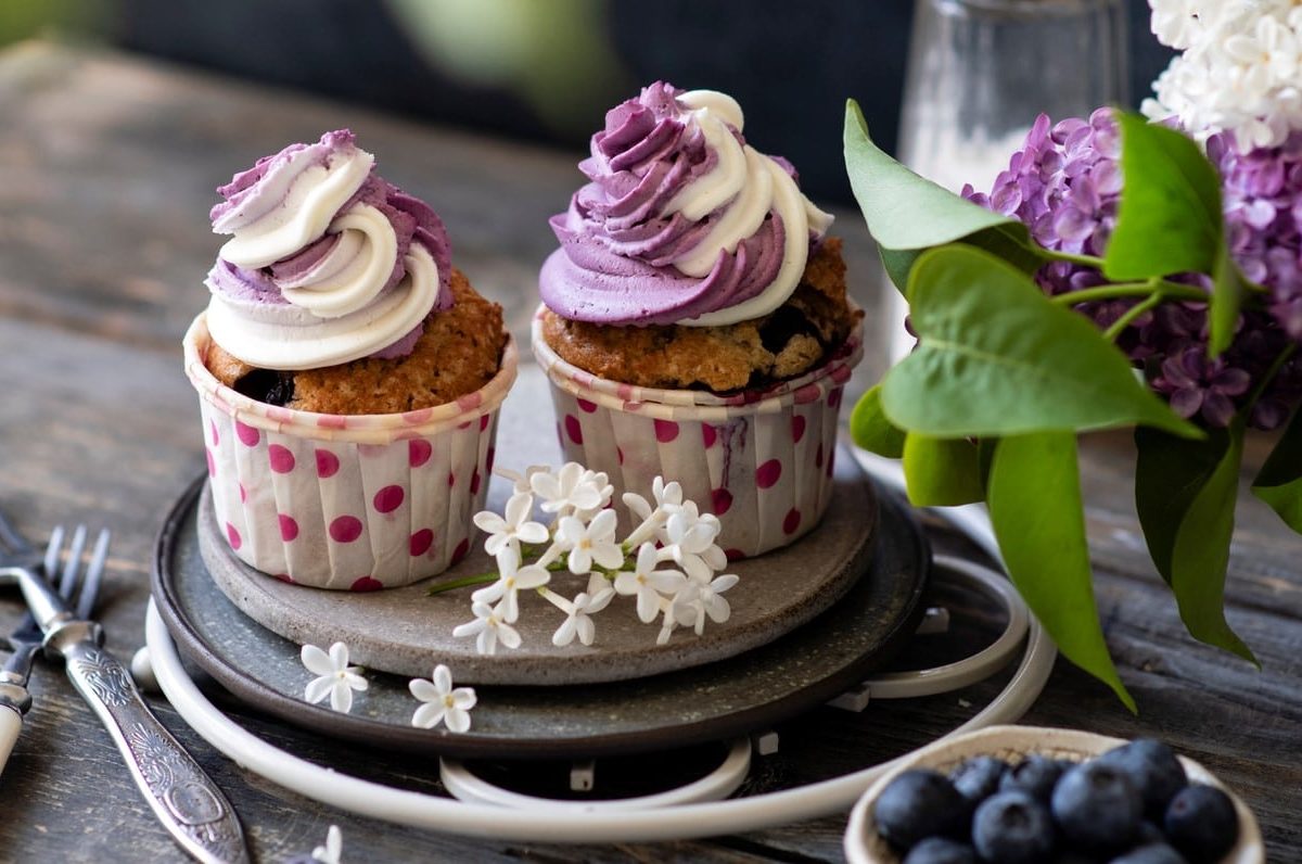 Zwei vegane Heidelbeer-Cupcakes auf einem Teller, daneben stehen frische Blumen und eine Schale mit Blaubeeren.