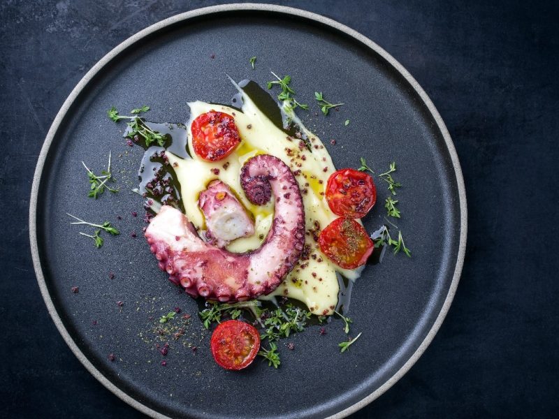 Ein schwarzer Teller mit heller Creme, Oktopus, Kirschtomaten und grünem Öl auf schwarzem Teller und schwarzem Untergrund in der Draufsicht.