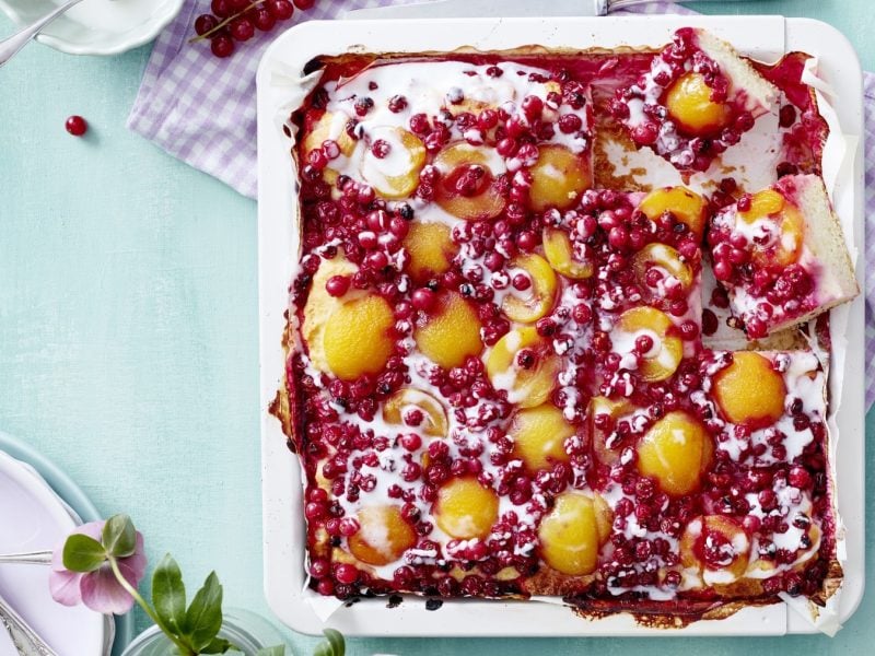 Fruchtiger Johannisbeer-Aprikosen-Blechkuchen, serviert noch warm auf dem Blech und bestreut mit Puderzucker auf einem hellen Tisch.