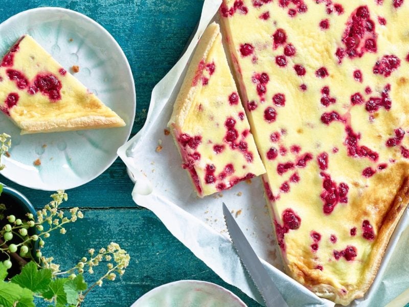 Ein angeschnittener Johannisbeer-Kuchen auf einem dunkelgrünen Untergrund mit einer Pflanze am unteren Bildrand.