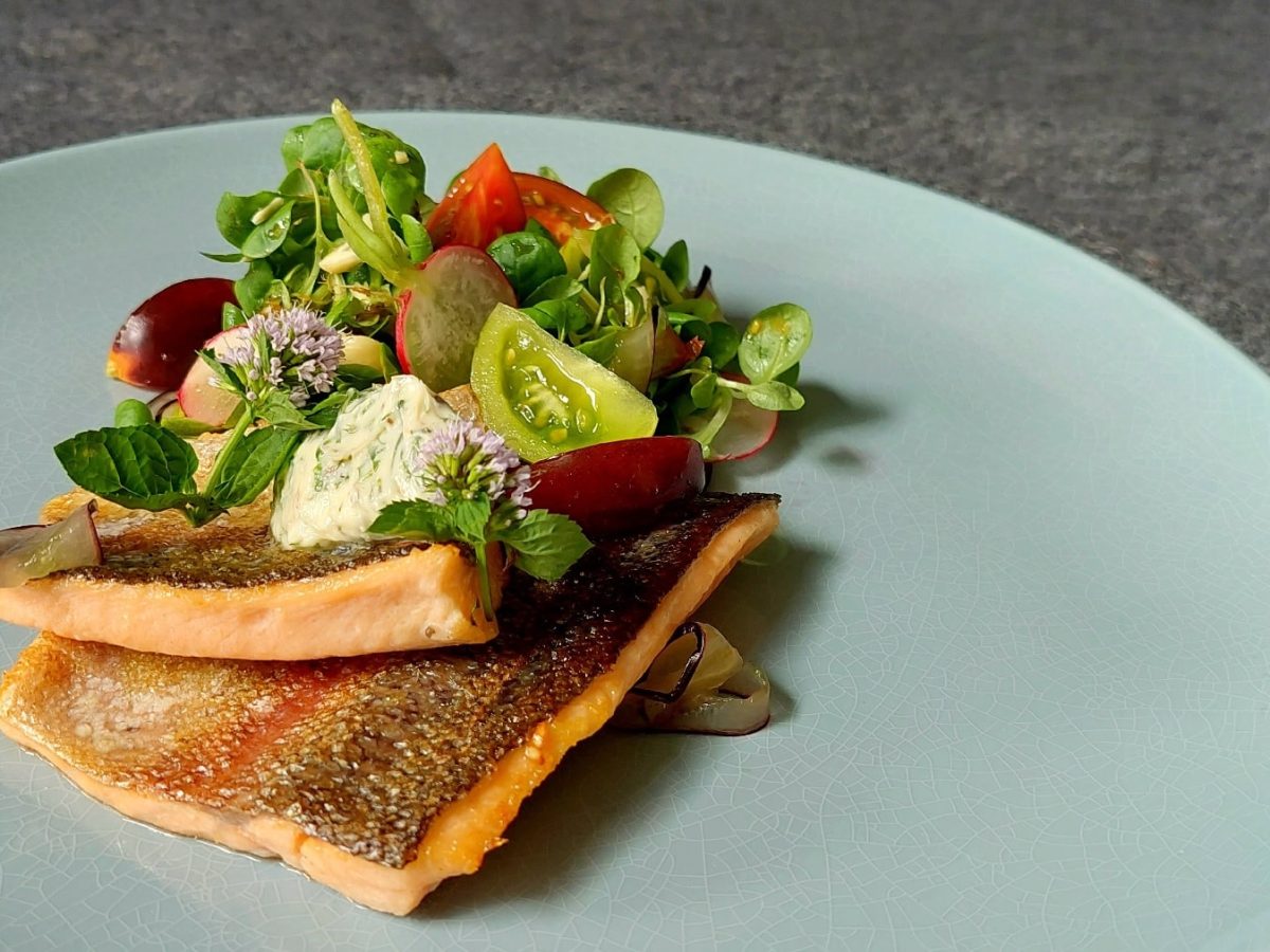 Ein großer blauer Teller in der NAhaufnahme mit 2 Stücken der Lachsforelle, Minzblütenbutter und einem bunten Feldsalat vor einem mattgrauen Hintergrund.