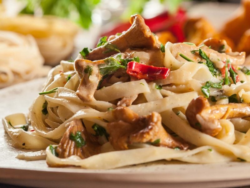 Tagliatelle mit Pfifferlingen und Chili auf weißem Teller. Im Hintergrund Pfifferlinge und Pasta-Nester. Frontalansicht.