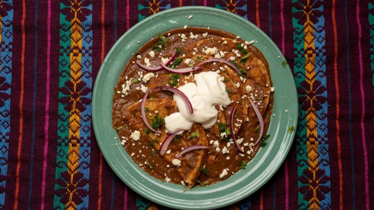 Enfrijoladas mexicanas in türkisem Teller auf bunter Decke. Draufsicht.