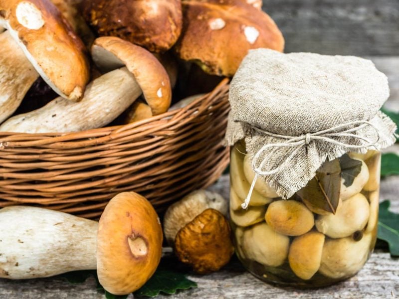 Eingelegte Steinpilze im Weckglas auf grauem Untergrund- Daneben Korb mit frischen Steinpilzen. Frontalansicht.