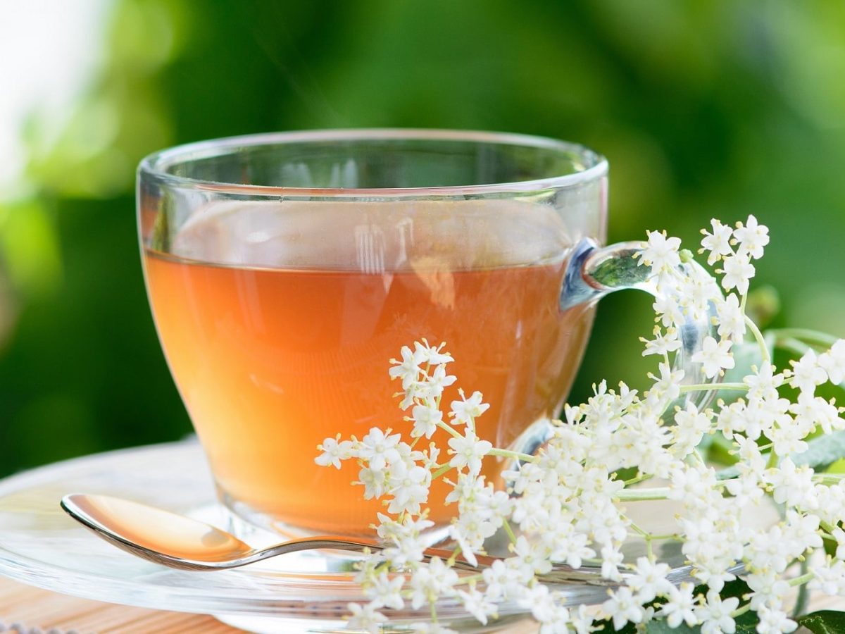 Frontalsicht: eine Tasse aus Glas mit Holunderblütentee steht auf einem kleinen Tisch. Daneben liegen Holunderblüten. Im Hintergrund sind Bäume und Gräser.