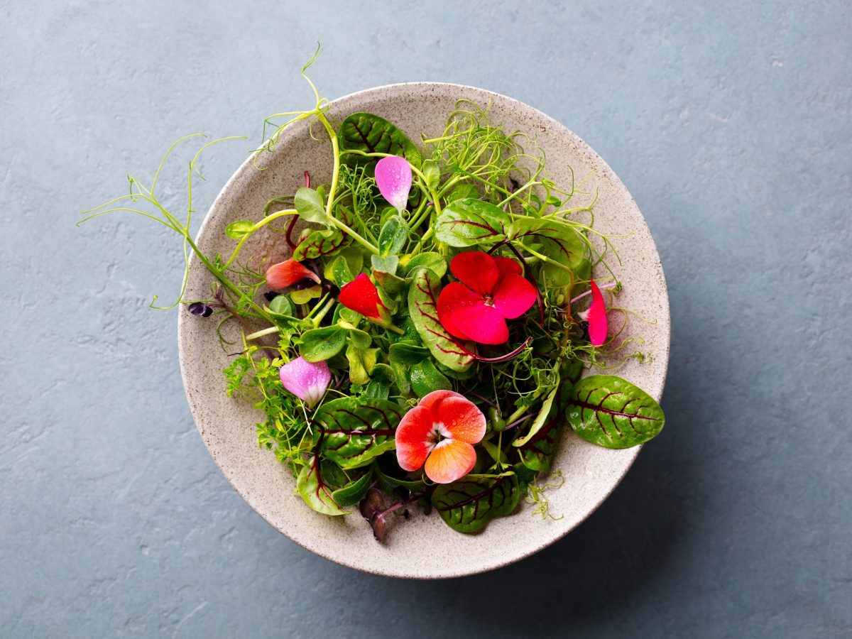 Essbare Blüten und Blätter auf einem Teller von oben fotografiert.