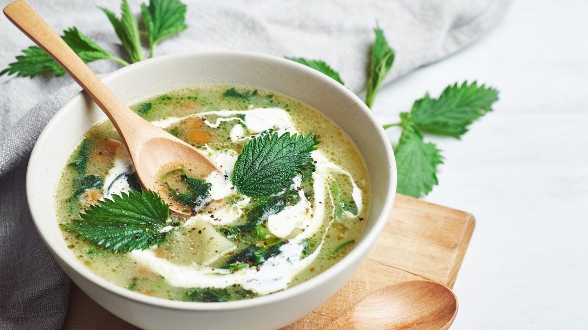 Draufsicht: Eine weiße Schüssel Frühlingssuppe mit Brennnesseln steht auf einem weißem Untergrund. In der Suppe ist ein Holzlöffel. Und neben der Suppe liegt ein weiterer Holzlöffel.