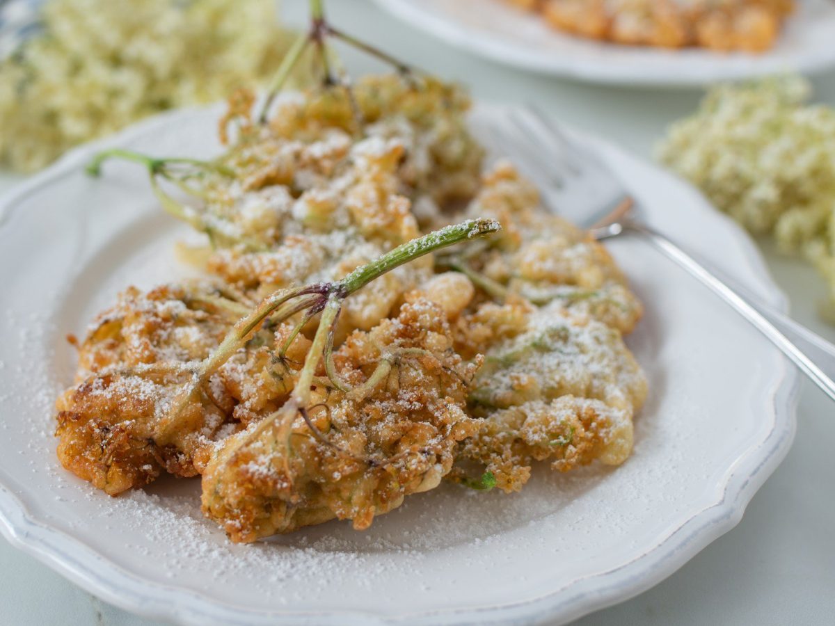 Holunderblüten frittieren Holunderblüten im Backteig auf weißem Teller auf weißem Untergrund. Daneben frische Holunderblüten, eine Gabel und ein weiterer Teller angedeutet. Draufsicht.