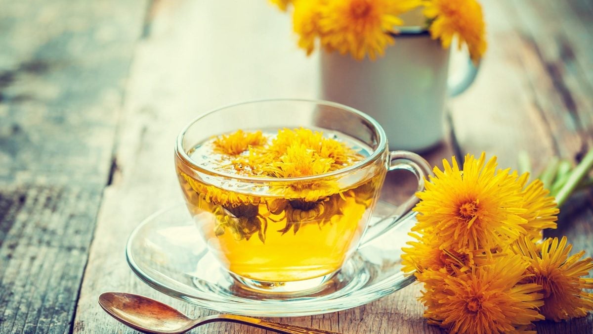 Frontal: eine Gläserne Tasse Löwenzahn-Tee steht auf einer Holzplatte. Daneben liegen Löwenzahnblüten. Im Hintergrund ist eine Vase mit Löwenzahn.