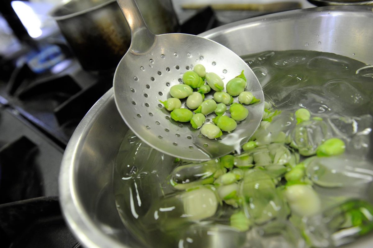 Draufsicht, Nahaufnahme: Eine gelöcherte Küchenkelle auf der Bohnen sind werden in eine Schüssel mit Eiswasser gegeben.