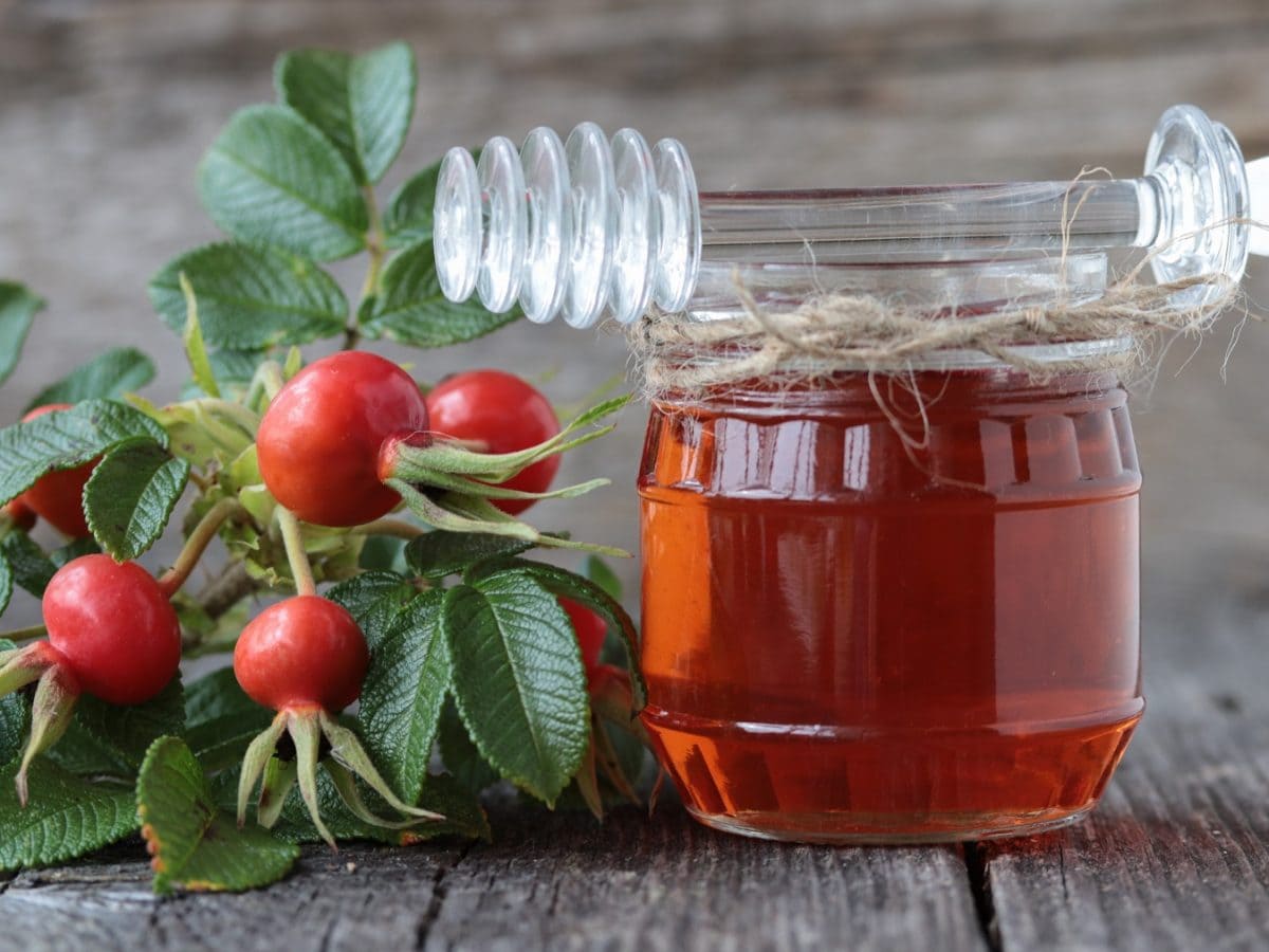 Hagebuttensirup mit Honiglöffel aus Glas und frischen Hagebutten.