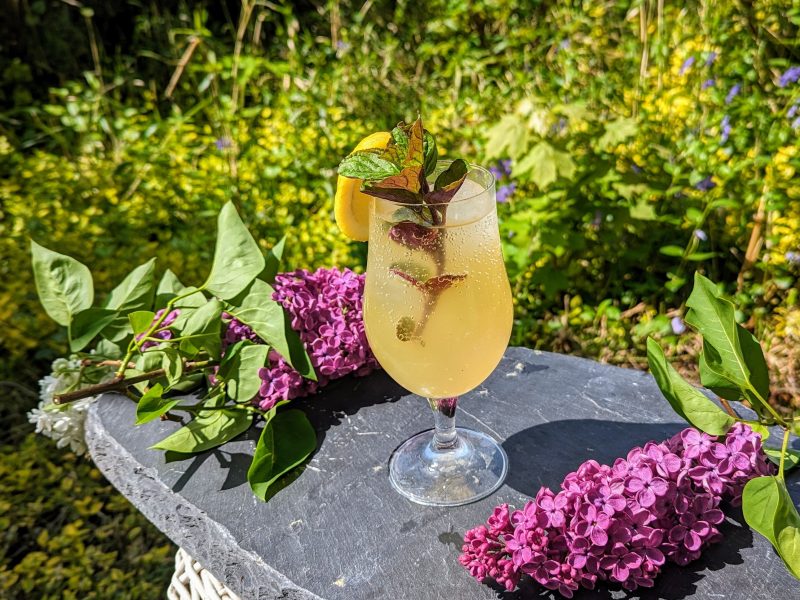 Ein Glas mit dem Drink auf einer schwarzen Schieferplatte mit violetten Fliederblüten und viel Grün im Hintergrund.