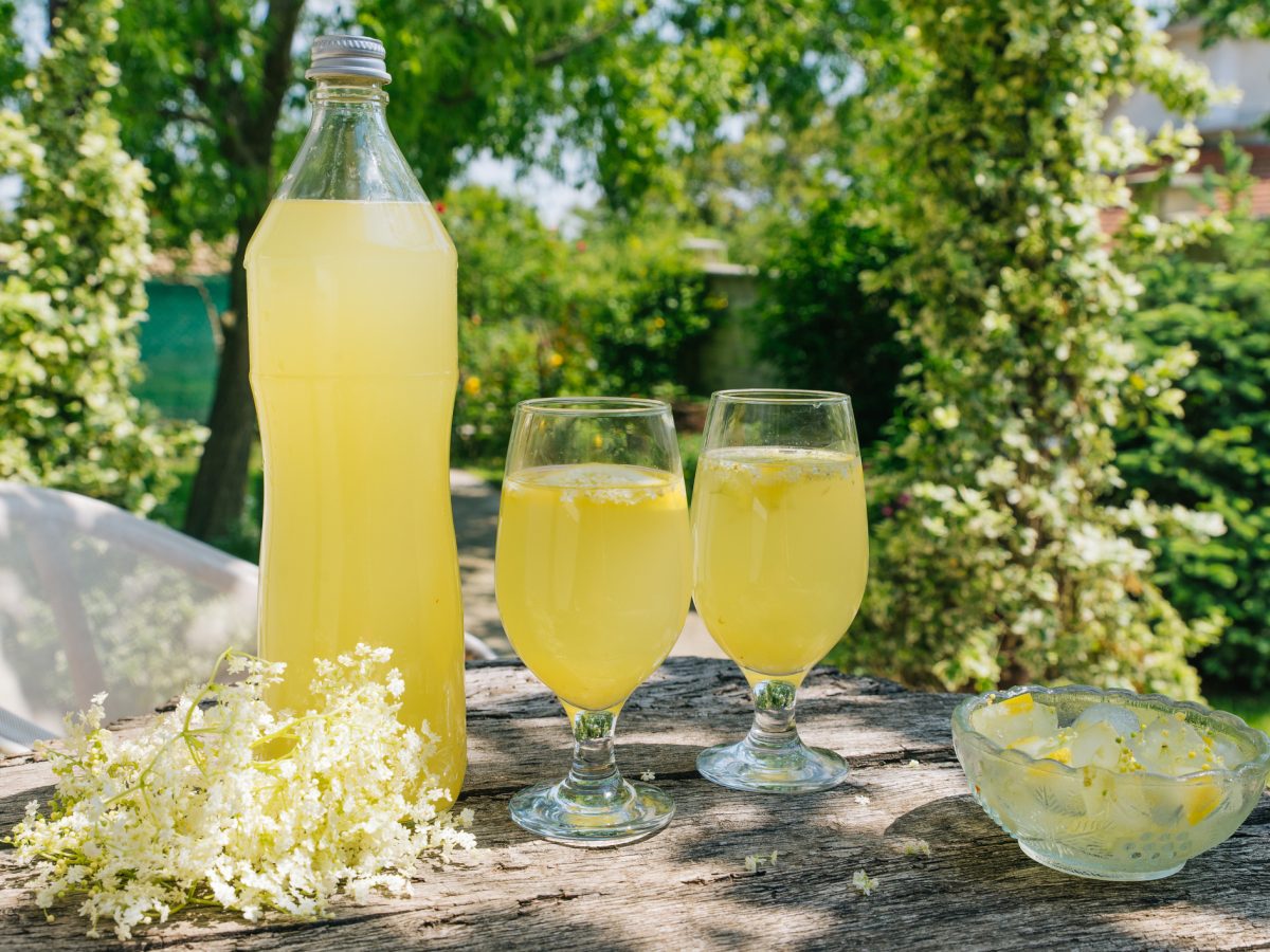 Holunder-Limonade in einer PET-Flasche und zwei Weingläsern.