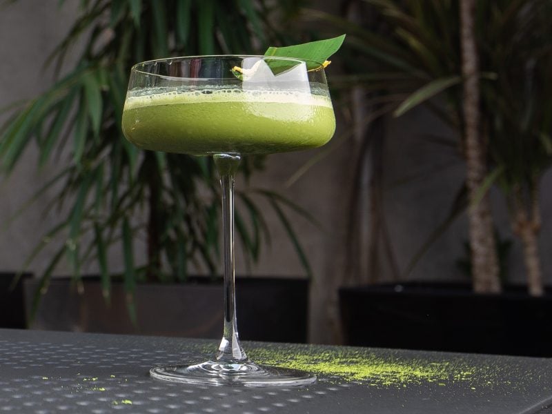 Ein Glas mit dem Matcha Gin Sour auf dunklem Untergrund mit Pflanzen im Hintergrund.