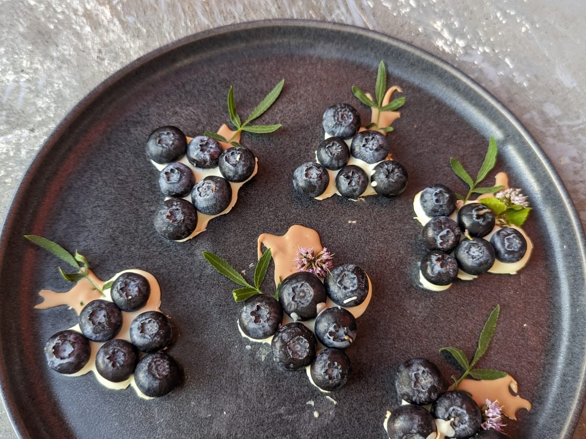 Mehrere Blaubeer-Bites auf einem dunklen Teller und hellgrauem Steinuntergrund. Alles direkt von oben fotografiert.