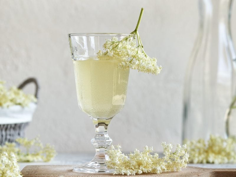 Ein Sektglas mit dem Drink auf einem Tisch mit vielen Holunderblüten von der Seite fotografiert.