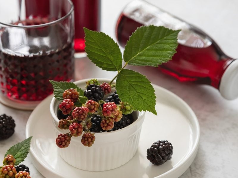 Ein weißer Teller mit frischen Brombeeren und im Hintergrund der Likör in Flaschen und Gläsern abgefüllt.