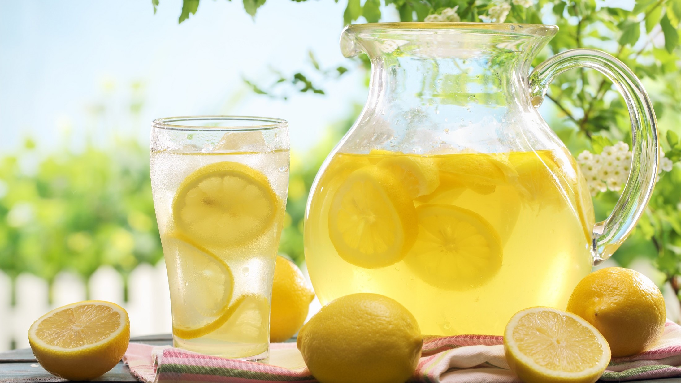 Frontalsicht: Garten, Sommer. Auf einem Tisch stehen ein Glas und ein Krug mit Zitronenlimonade. Drum herum liegen Zitronenhälften. Zitronenlimonade selber machen.
