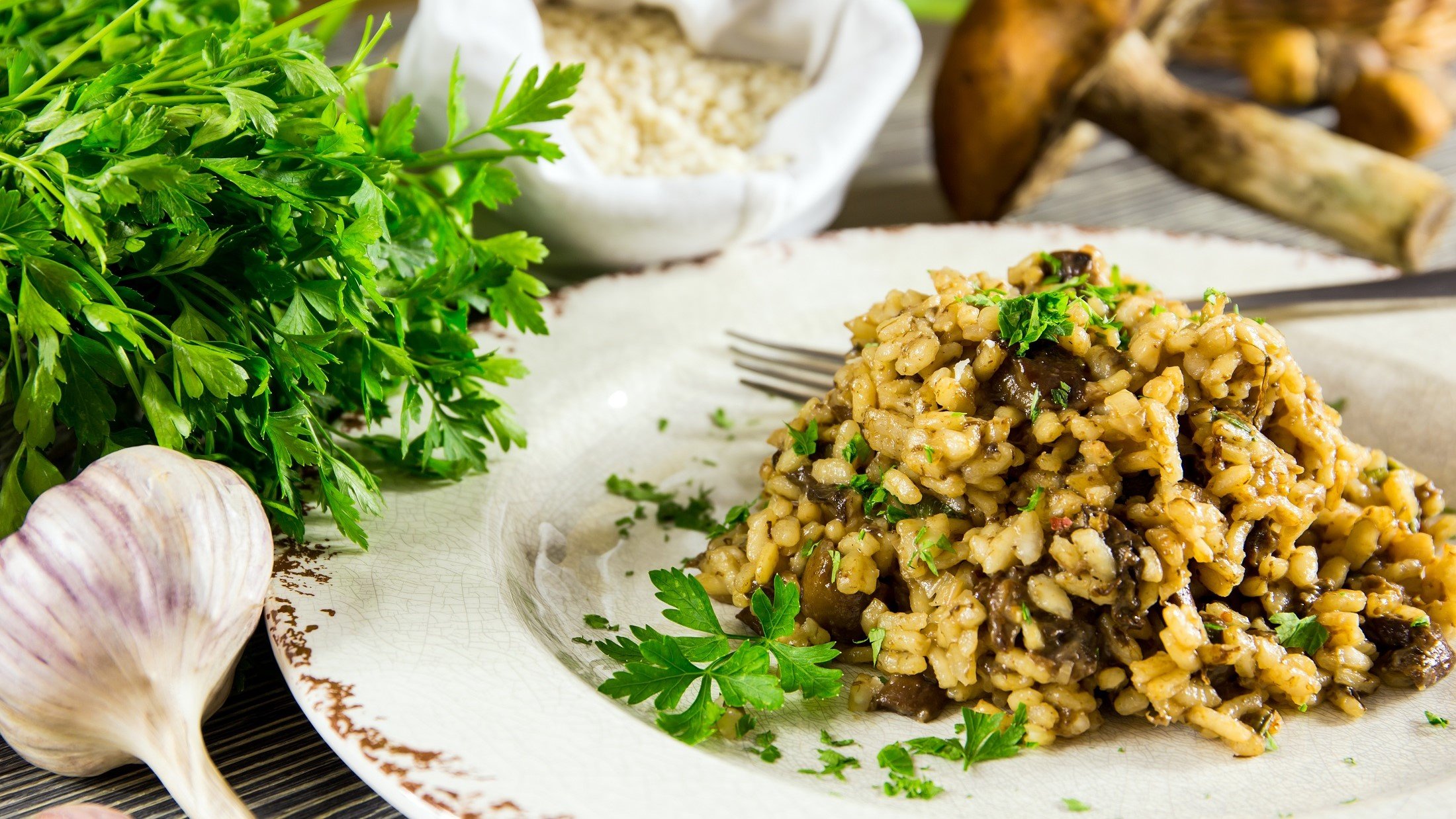 Frontal, leicht schräg von oben: Ein weißer Teller Risotto mit Waldpilzen. Daneben liegen eine Knoblauchknolle und ein Bund frische Petersilie. Im Hintergrund sind frische Pilze.