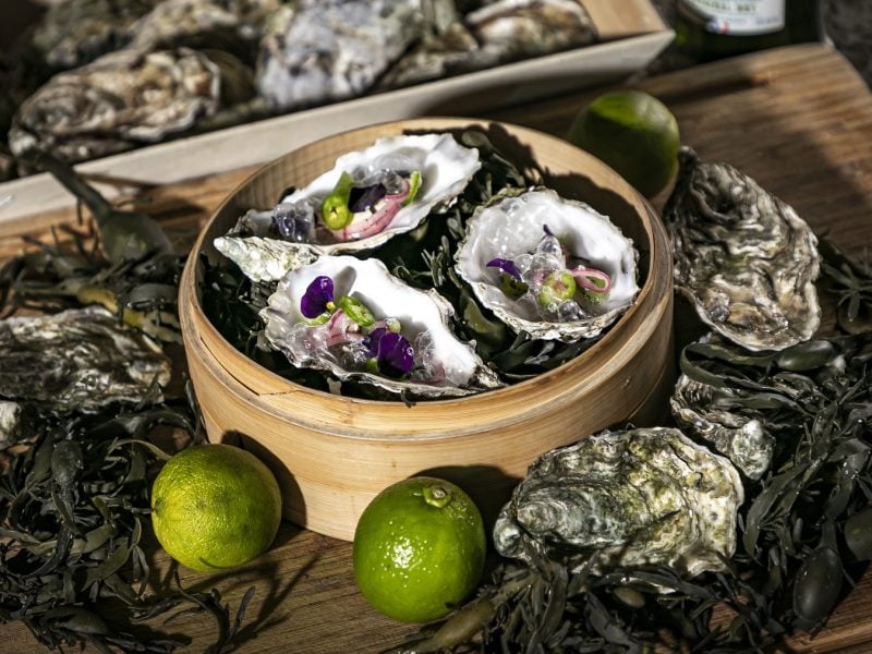 Gedämpfte Astern mit Toppings in einem Korb, daneben frische Austern und Limetten schräg von oben fotografiert.